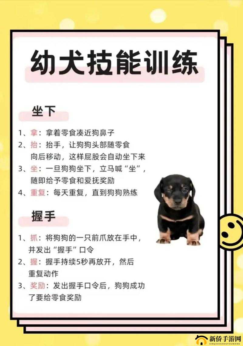 赛尔特大陆宠物托养全面指南，解锁专业养护姿势，轻松打造梦幻萌宠乐园
