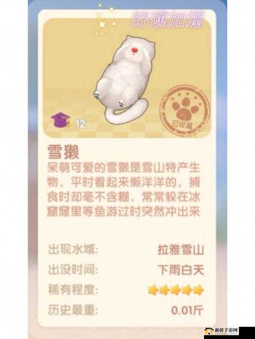 夏日收集活动全攻略，高效获取稀有雪獭的必备技巧与策略