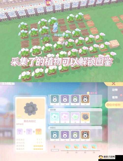 摩尔庄园种植系统深度玩法攻略，掌握偷菜技巧，享受趣味种植体验