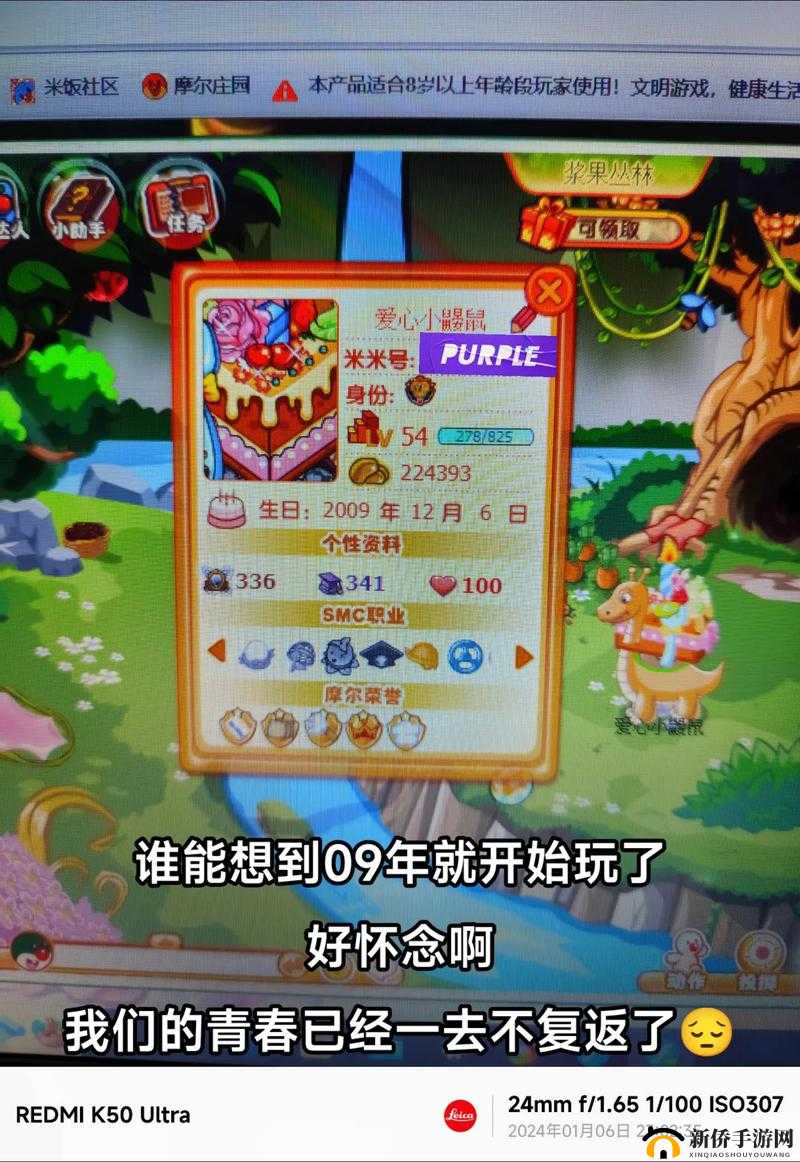 摩尔庄园手游，全面解析拉姆的作用及其多样化玩法指南