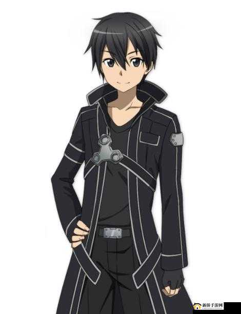 刀剑神域黑衣剑士王牌，深入探索与挑战，领略无限魅力的游戏世界