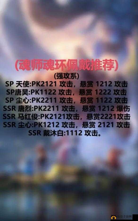 斗罗大陆魂师对决，深度解析戴沐白魂环搭配与高效资源管理艺术