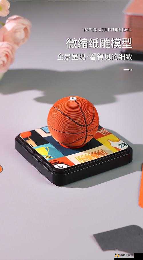 篮球队的公共玩具坐便器：创新设计与实用功能的完美结合，提升团队体验新高度