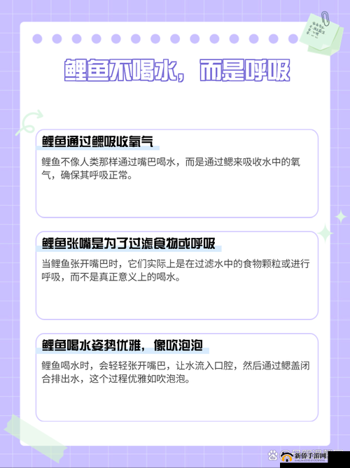 女人绝技鲤鱼喝水是什么感受？揭秘这一独特技巧背后的真实体验与心理变化
