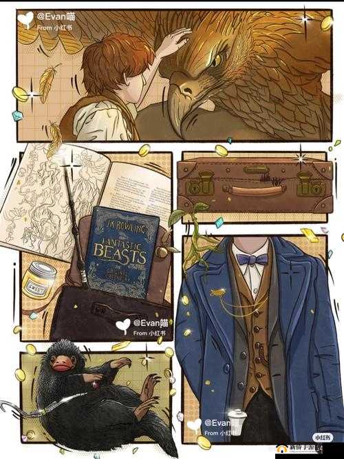 哈利波特中的神奇动物保护课，深度剖析策略与技巧的全面指南