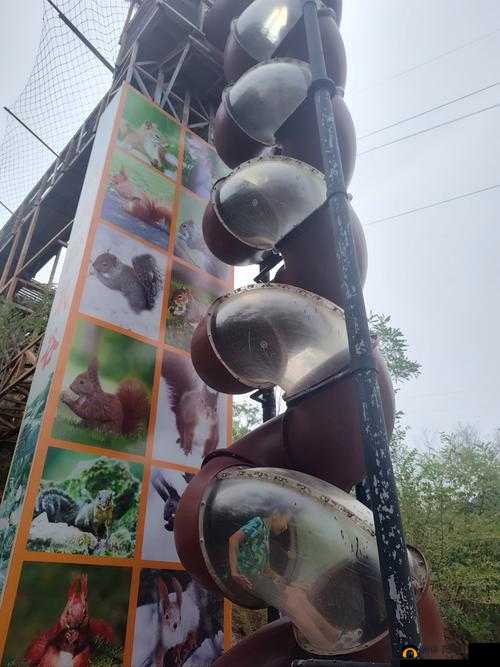 体验好大滑滑梯的极致乐趣，感受好爽滑行的刺激瞬间，深一点探索更多惊喜