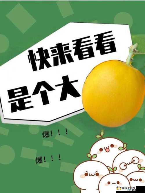51cg10最新爆料：永利内幕大揭秘，吃瓜群众不可错过的真相揭露