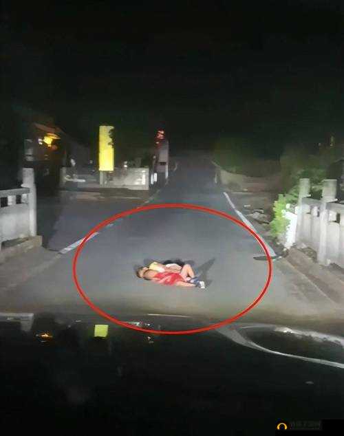 妈妈趁儿子熟睡驾车外宵夜，深夜亲子生活引发网友热议与关注