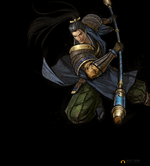 战国无双5游戏攻略，全面解析如何达成一万连击技巧详解一览