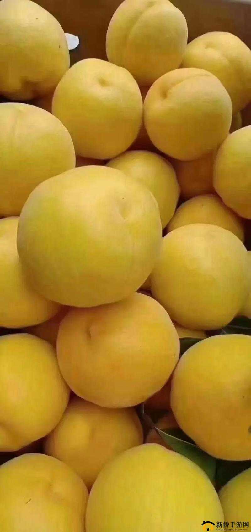 9612黄桃亚洲品质在线观看：高清流畅体验，尽享优质黄桃视频内容