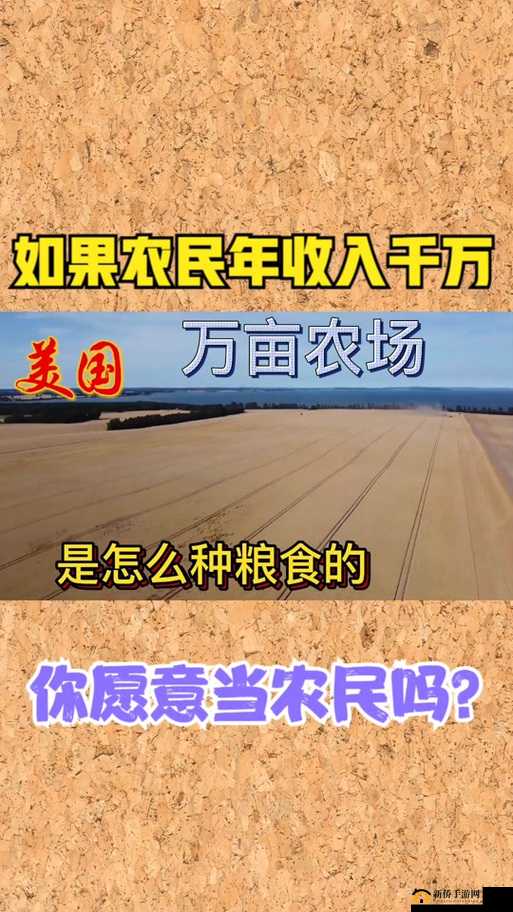 爸爸播种美国：如何在美国成功开展家庭农业项目并实现丰收？