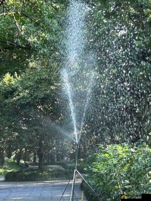 HP公交车灌溉系统安装经验分享：装修工人如何高效完成复杂工程？