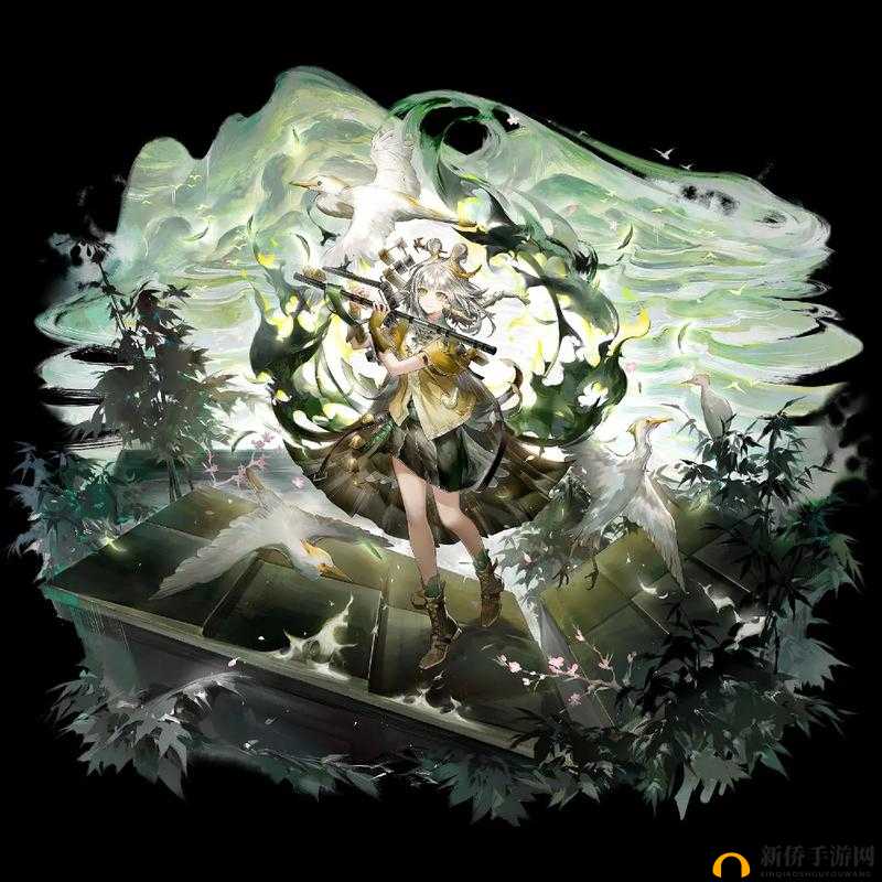 精二和精三的区别解析：全面对比两者的核心特点与应用场景