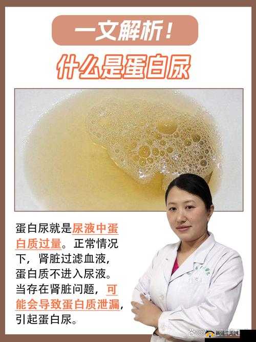 男士桶女士尿孔的生理结构与健康影响：科学解析与日常护理建议