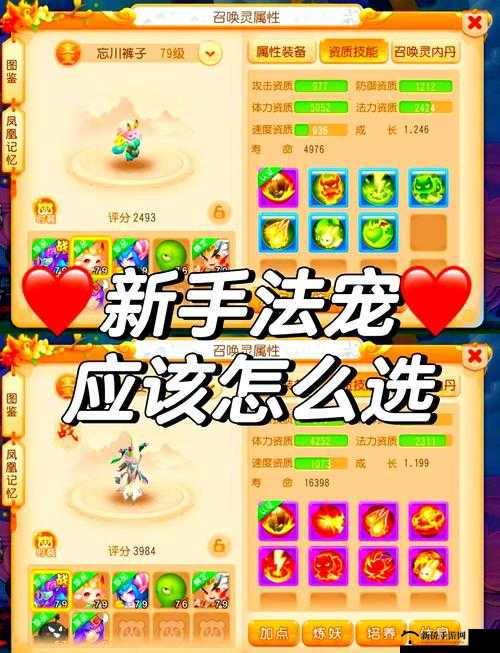 梦幻西游手游，全面解锁毛小球获取攻略，开启你的专属萌宠养成之旅