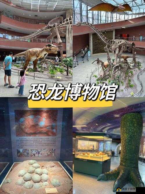 CF手游恐龙博物馆团队地图，恐龙模型数量究竟有多少？深度揭秘！