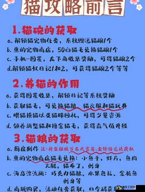 揭秘！小森生活中猫咪领养方法，资源管理为何至关重要？