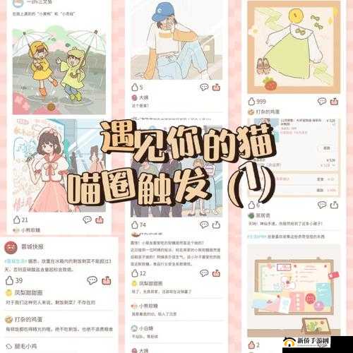 如何解锁遇见你的猫喵圈所有攻略？全面触发方法图文揭秘！