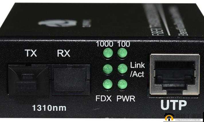 txvolg破解版到底是什么？它有哪些独特之处和使用方法？快来一探究竟