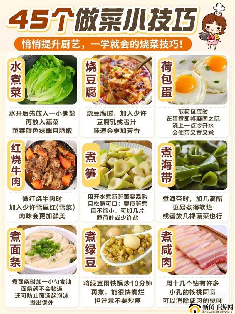 情侣炒菜技巧PDF免费下载：提升厨艺的必备指南，让爱情与美食完美结合