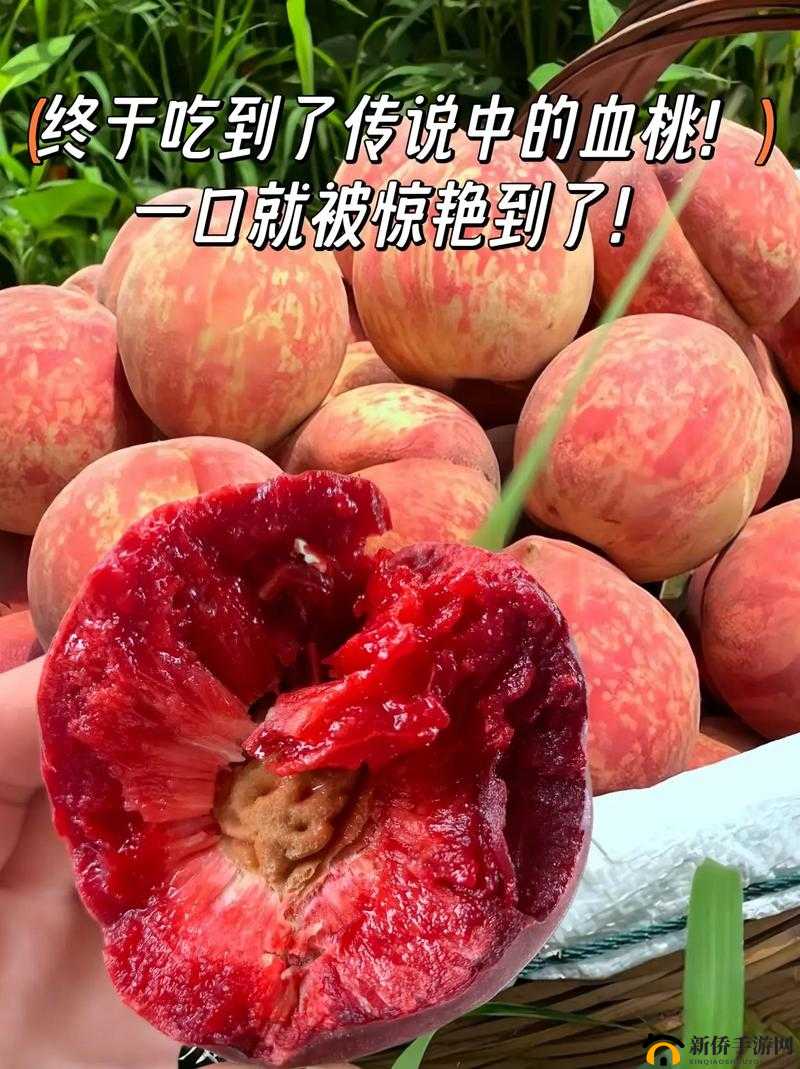 提问：www..com 红桃到底是什么？为何它如此受关注？