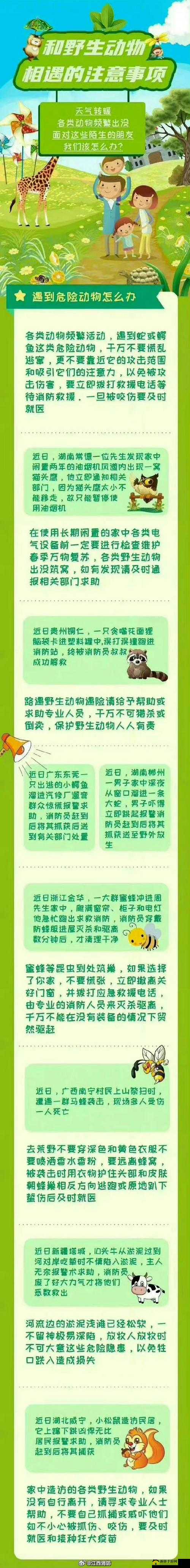 动物水门事件揭秘：罕见行为背后的科学解释与生态影响分析