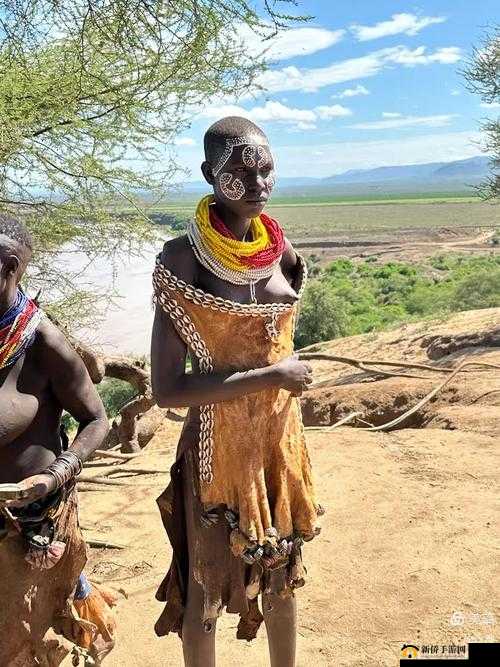 探索非洲性videosXXXXHD：深入了解非洲文化与生活，揭秘真实非洲风情与故事