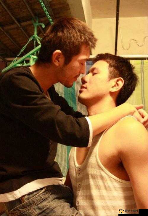 探索Gay老头与Gay老男人的生活故事：他们的经历与心路历程揭秘