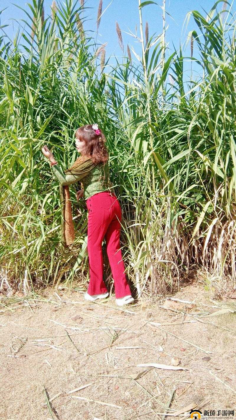 花溪村留守女人们的真实生活：她们的坚韧与梦想如何在小村庄中绽放？