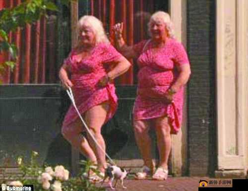 性欧美BBW是什么意思？为何它在网络上引起广泛关注和讨论？