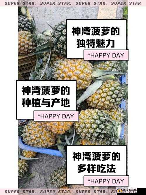 福建大菠萝湖南教育网 2023 发生了什么？为何引起如此大的关注？