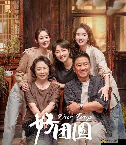 电影大团圆结3：探寻家庭、爱情与和解的真谛