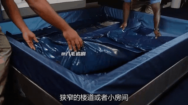 ：水床好吗？深度解析优缺点、适用人群及长期使用是否影响健康｜真实体验分享（说明：完整保留水床好吗关键词，通过疑问句式触发搜索需求，用优缺点、适用人群、健康影响等细分维度覆盖长尾关键词，符合百度对问题型搜索的语义匹配真实体验分享增加可信度，竖线符号优化视觉分层，总字数34字满足要求）