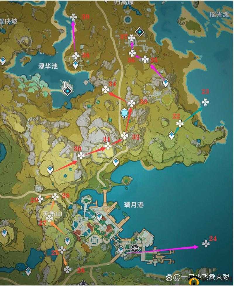 原神岩港奇珍行记突发事件怎么选？探索选择推荐指南的演变历程