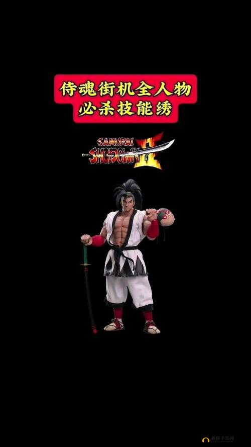 诗魂新手如何快速上手？全面入门攻略大揭秘！