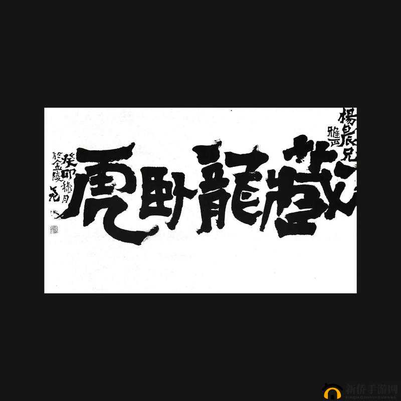 卧虎藏龙玄阴柔劲是否需以刚猛内力为交换？探究至柔武学背后的隐秘代价与平衡之道