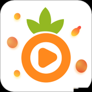 菠萝导航：让你的上网之路不再迷路